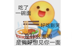 吃了一碗面好吃到哭是什么面呢是我好想见你一面 - 土味表情包