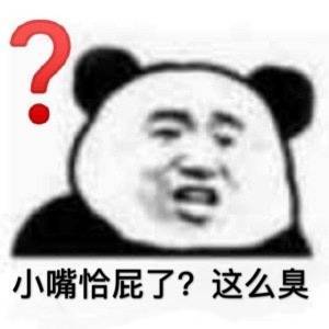 小嘴恰屁了?这么臭(熊猫头怼人表情包)