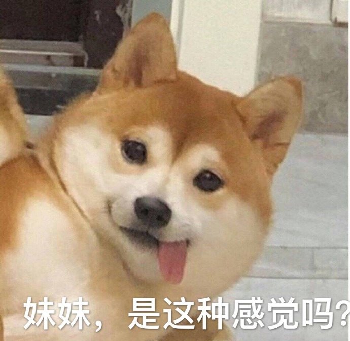 妹妹，是这种感觉吗？（汪星人 doge 表情包）