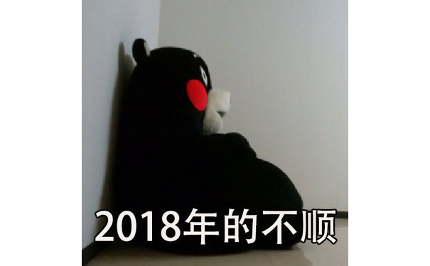 2018年的不顺 - 元气满满地迎接2019年