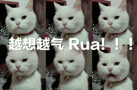 越想越气 Rua!（猫咪）