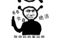 牛逼 666 绝活 我他妈拍案叫绝