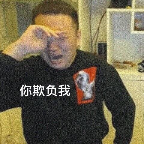 你欺负我