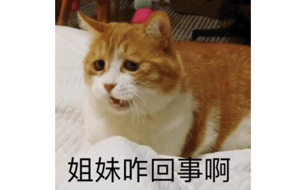 姐妹咋回事啊 - 一组橘猫表情包