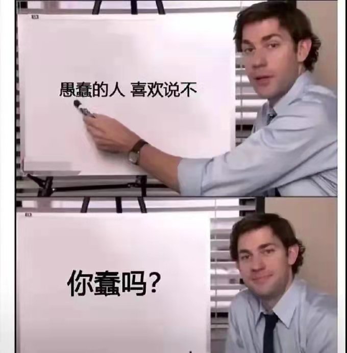 愚蠢的人喜欢说不你蠢吗?