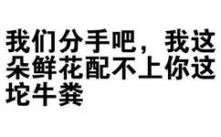 我们分手吧，我这朵鲜花配不上你这坨牛粪 - 儿子你好，我是你失散多年的爸爸！（文字表情）