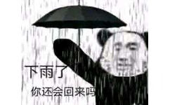 下雨了你还会回来吗(熊猫头表情包)