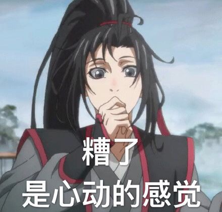 是心动的感觉 - 魔道祖师系列表情包