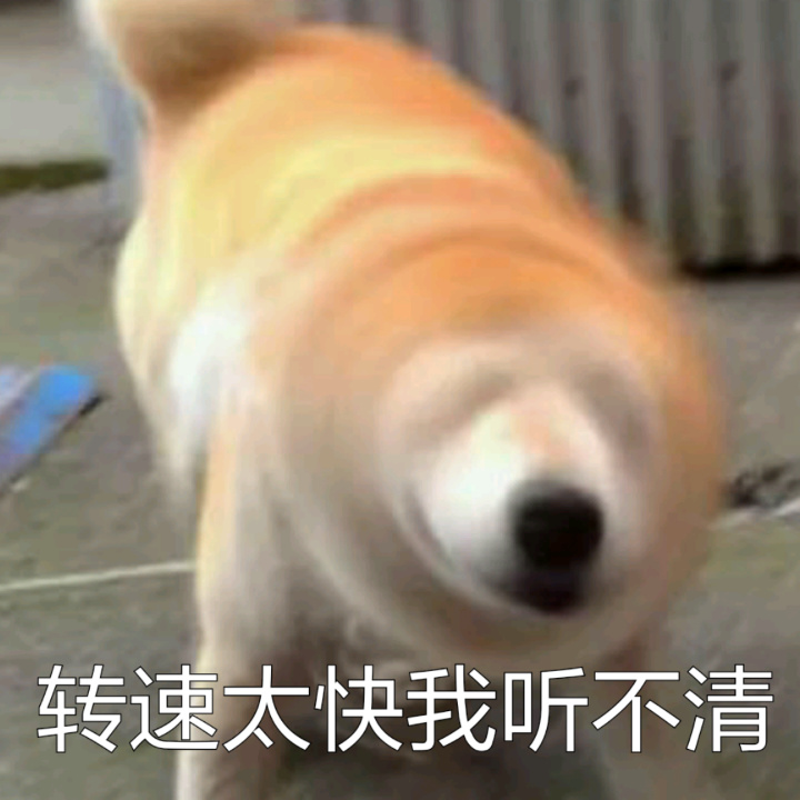 转速太快我听不清 - 柴犬doge真是一个表情包巨头