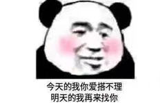 今天的我你爱搭不理明天的我再来找你(熊猫头)