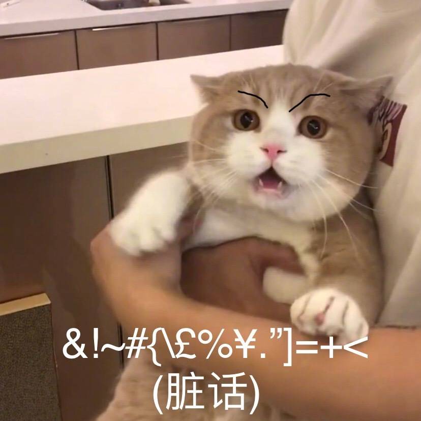 猫咪讲脏话