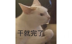 干就完了 - 沙雕猫咪表情包