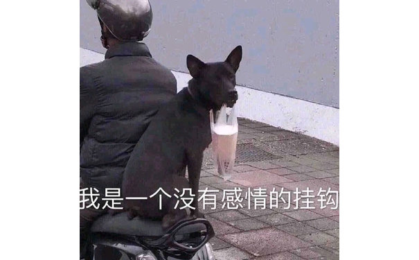 我是一个没有感情的挂钩