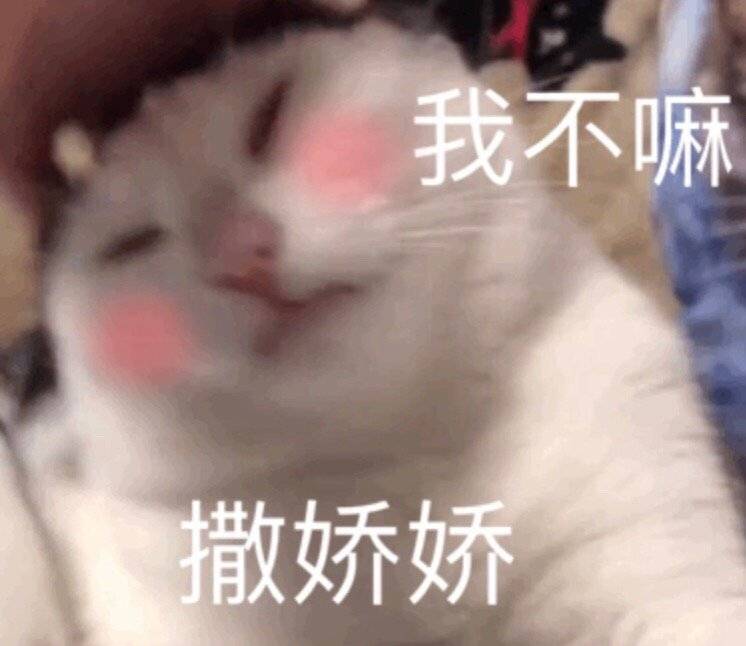 撒娇娇…我不嘛（猫咪）