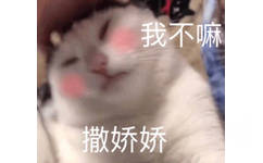 撒娇娇…我不嘛（猫咪）