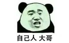 自己人 大哥