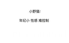 小野猫：年纪小 性感 难控制 - 犬系男孩、猫系女孩  了解一下