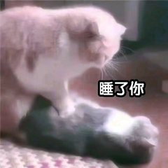 睡了你(猫咪)