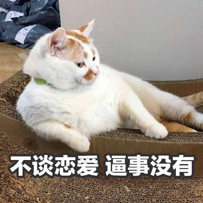 不谈恋爱 逼事没有 - 猫咪楼楼表情包