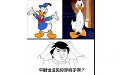 平时也没见你穿裤子啊？ - 小时候觉得很正常的动画片，现在看觉得好蠢