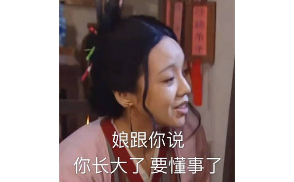 娘跟你说 你长大了 要懂事了（佟湘玉表情包）