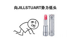 向JILLSTUART势力低头 - 向口红势力低头