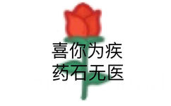 喜你为疾，药石无医 - 简单又不失风趣表情包