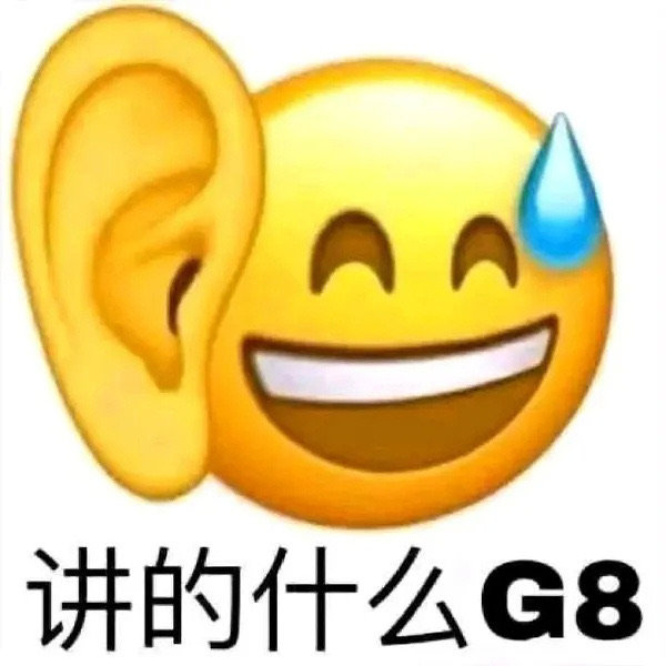 讲的什么G8