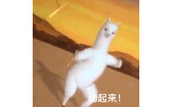 Music  动起来！（沙雕羊驼 GIF 动图）