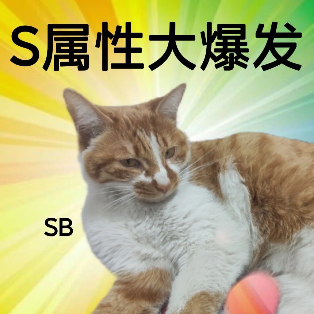 S属性大爆发SB - S属性大爆发表情包