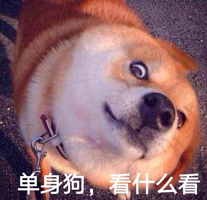 单身狗，看什么看 - 瞪眼 doge 表情包