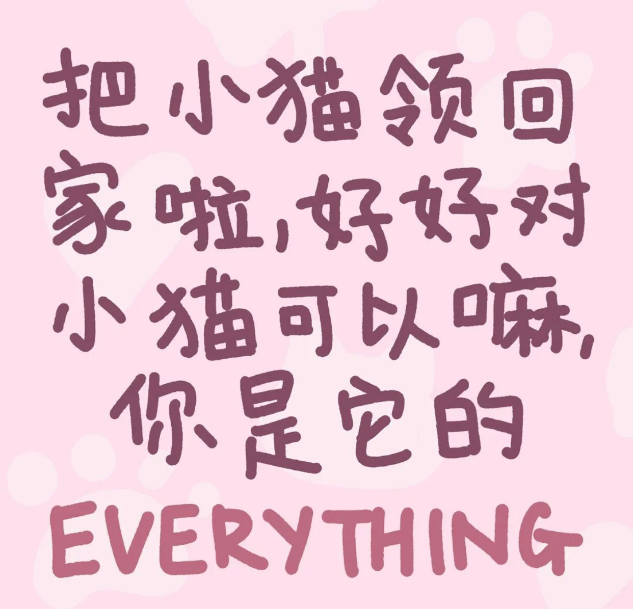 把小猫领回家啦好好对小猫可以嘛你是它的EVERYTHING - 小猫文学表情包