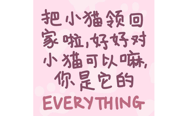 把小猫领回家啦好好对小猫可以嘛你是它的EVERYTHING - 小猫文学表情包