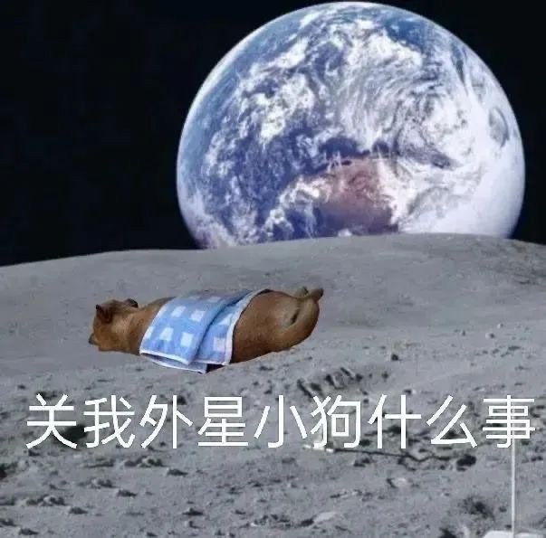 关我外星小狗什么事