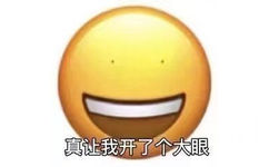 真让我开了个大眼