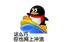 00这么巧你也网上冲浪