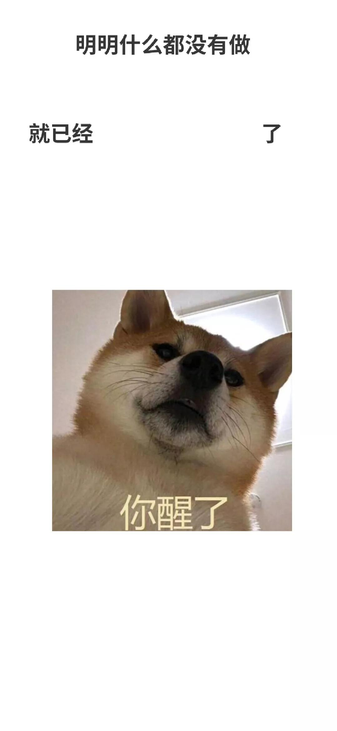 明明什么都没有做就已经了你醒了(doge) - 一波沙雕锁屏壁纸