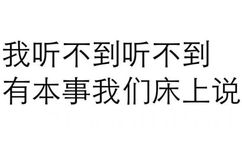 我听不到听不到，有本事我们床上说 - 纯文字表情包