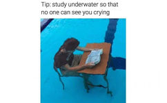 Tip : study underwater so that no one can see you crying (小提示：在水底学习就没人看见你在哭)