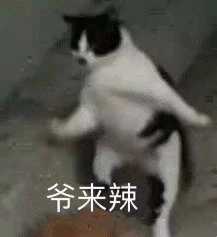 爷来辣(猫咪表情包)