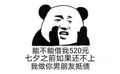 能不能借我520元，七夕之前如果还不上我做你男朋友抵债