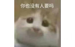 你也没有人要吗(猫咪表情包)