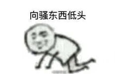 向骚东西低头