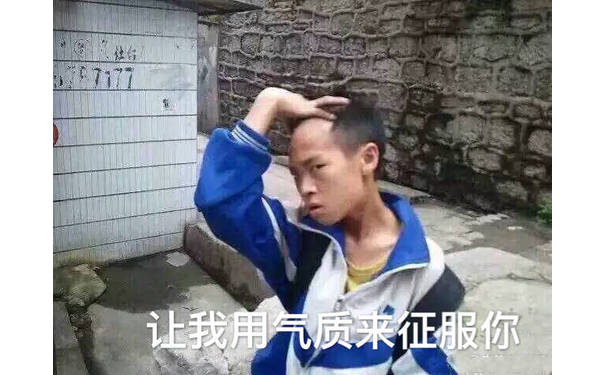 让我用气质来征服你