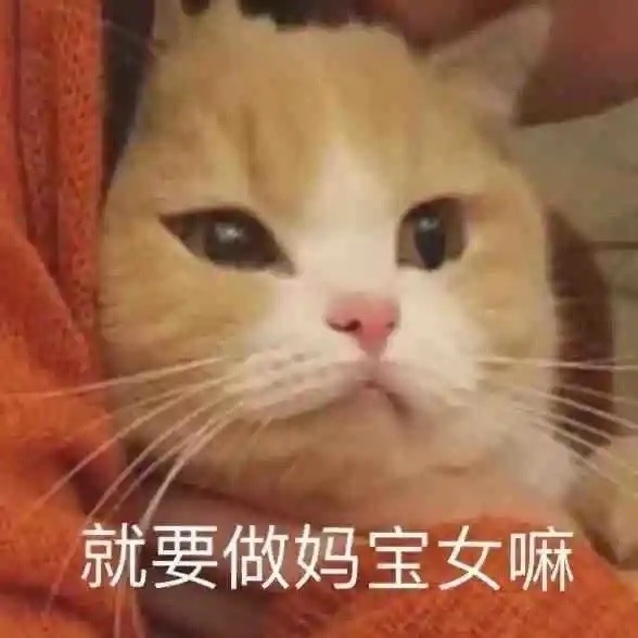 就要做妈宝女嘛 - 妈宝大嘴猫大哭表情包