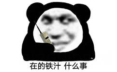 在的铁汁 什么事（熊猫头表情包）