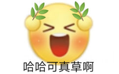 哈哈可真草啊 - 阴阳怪气小黄脸表情包