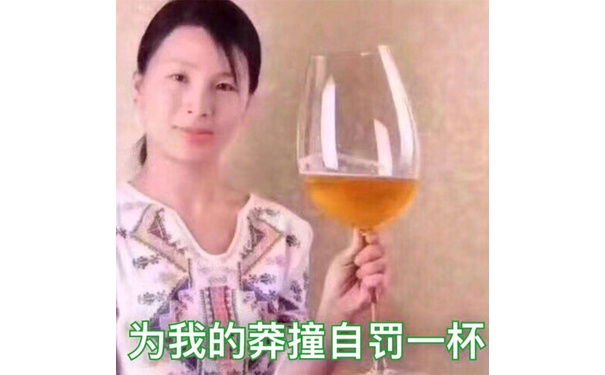 为我的莽撞自罚一杯 - 戏精专用表情包