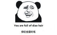 你们全是叼毛 you are full of diao hair - 整条街的智商都被你们拉低了（熊猫金馆长中英对照）