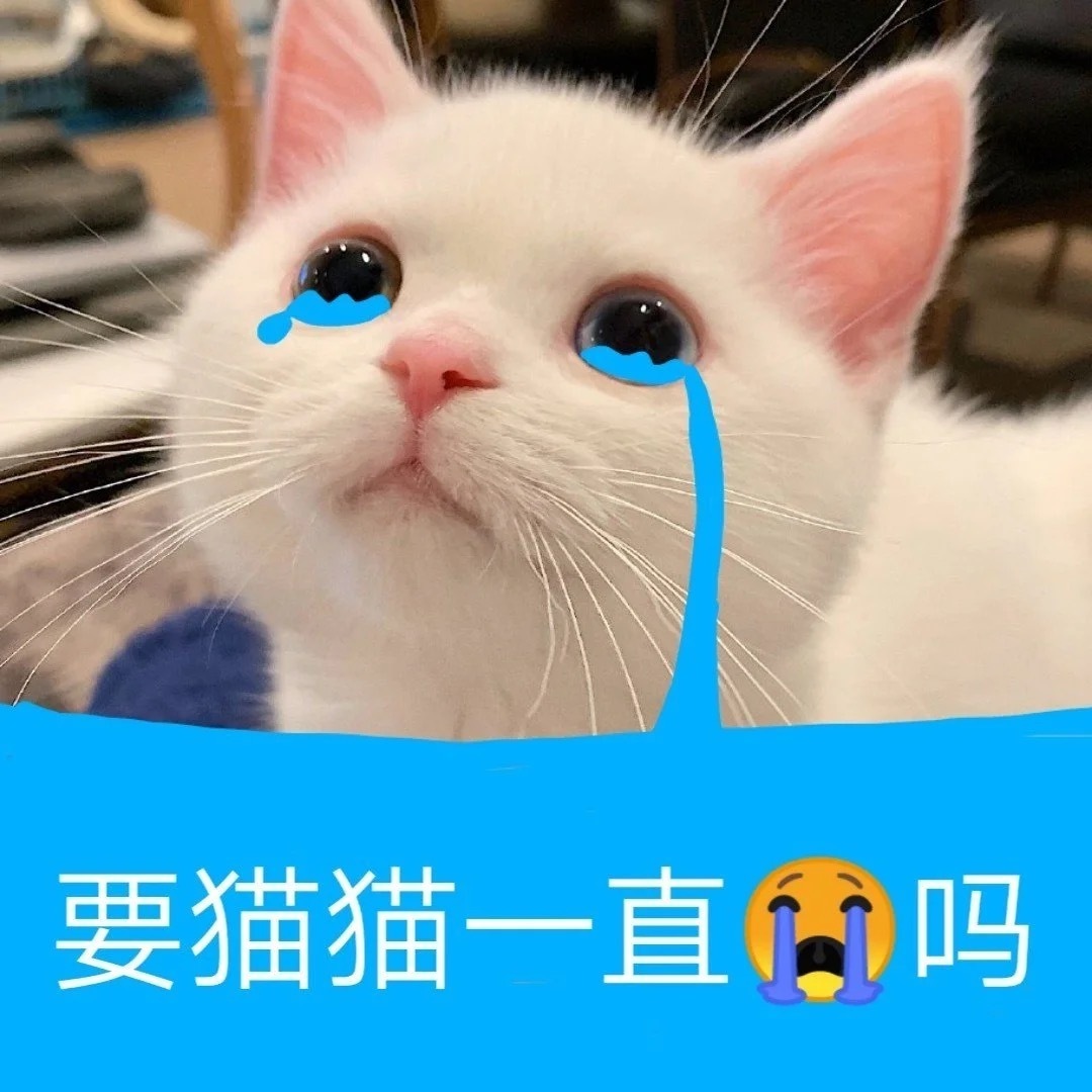 要猫猫一直吗 - 可爱猫咪表情包